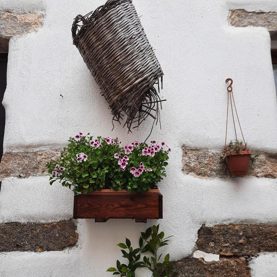 La Corte Di Grazia_Iun P2039/40 Nuoro  Eksteriør bilde