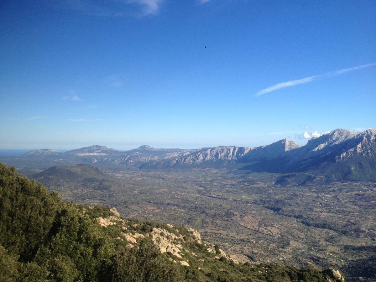 La Corte Di Grazia_Iun P2039/40 Nuoro  Eksteriør bilde